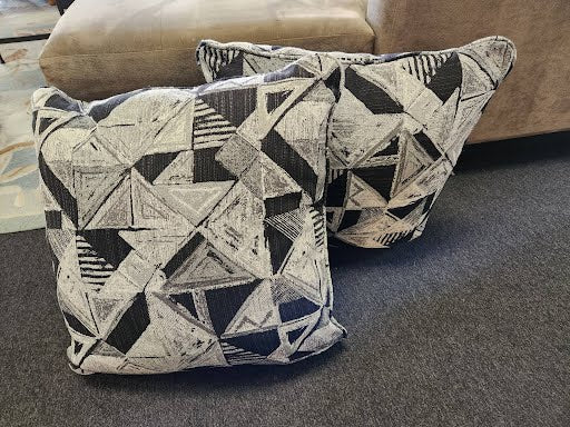 SET OF 2- 22x22 Pillow