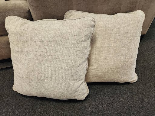 SET OF 2- 22x22 Pillow