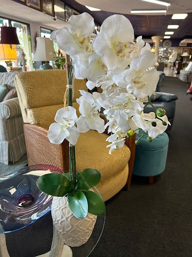 Fuax Orchids