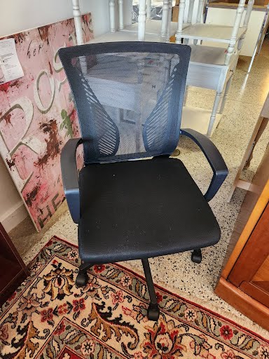 Office Chair on Casters