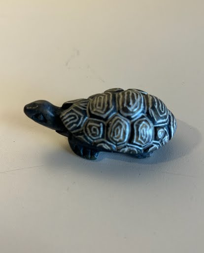 Mini Turtle