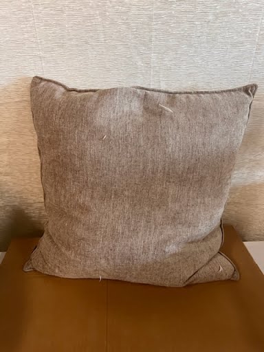 Pillow 22x22