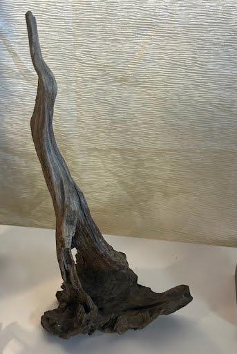 15" Height Driftwood