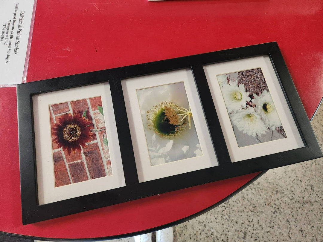 Hanging Picture Frame