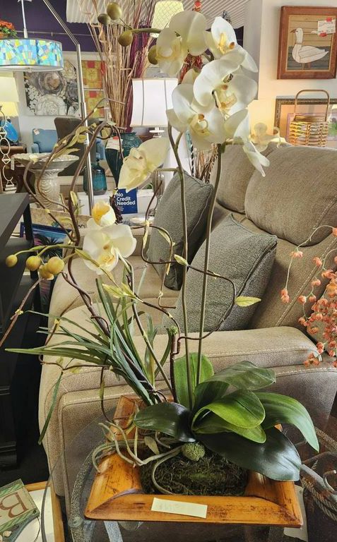 Centerpiece Orchid