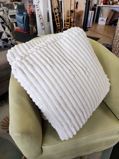 Set of 2- 22x22 Pillow