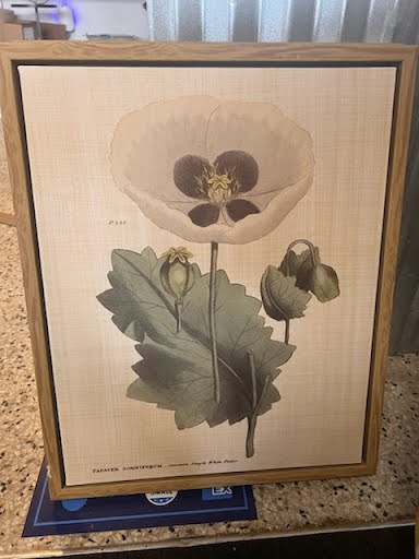 18x22" Wall Art