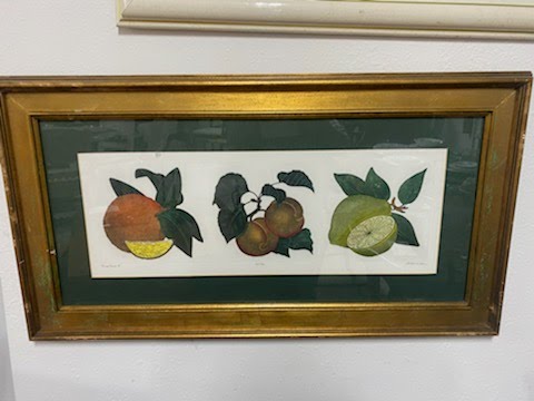 Three Fruit Framed Art