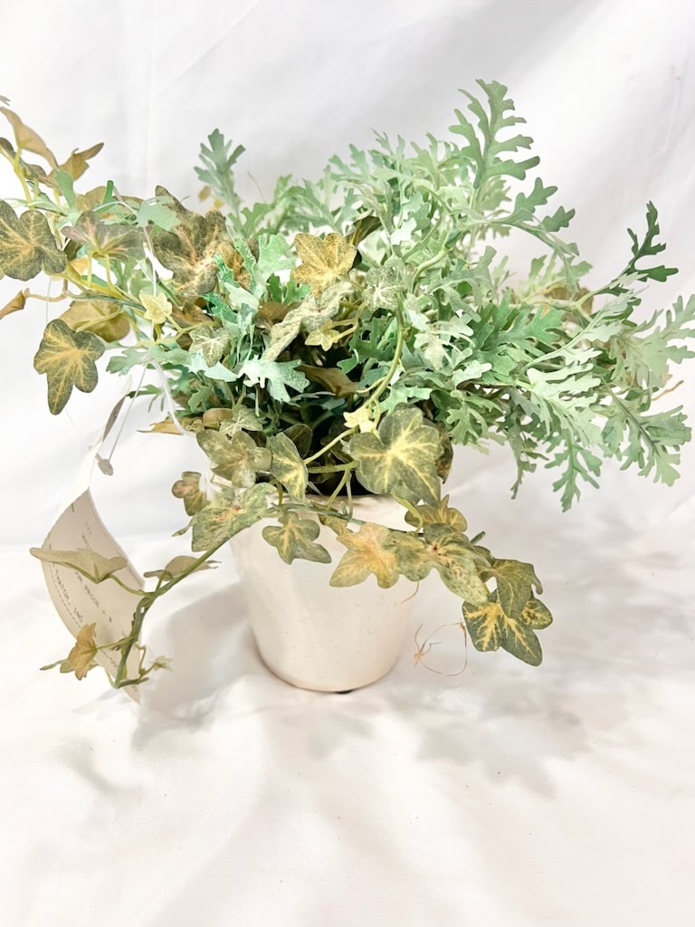 Ivy Greenery