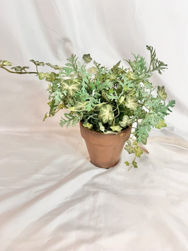 Ivy Greenery