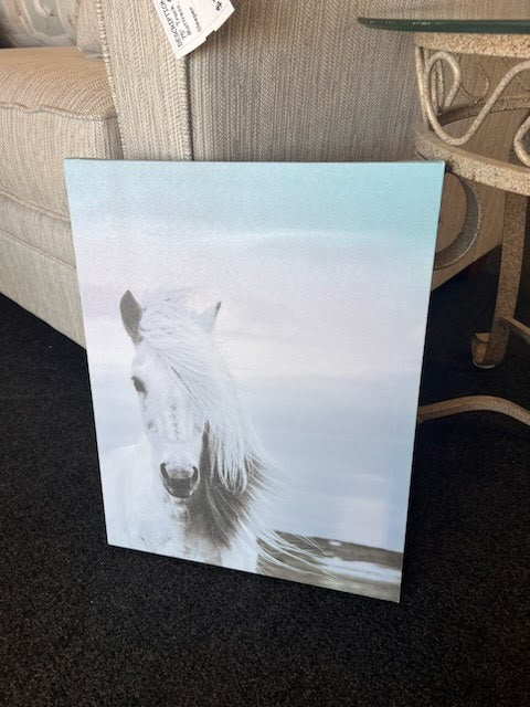 14" x 18" Canvas Wall Art