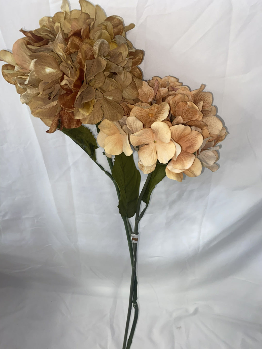 Floral Arrangement