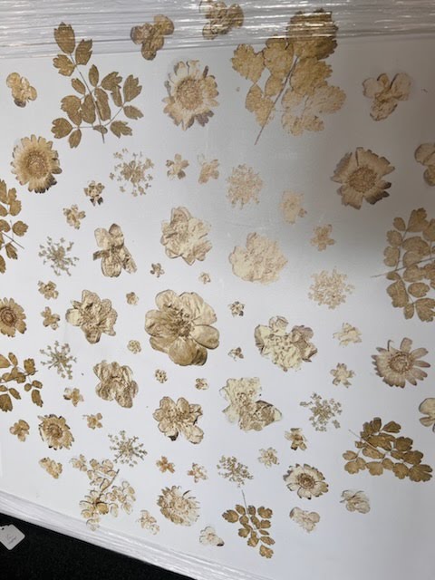 Gold Flower Mandala Oliver Gal , 30" x 30", Canvas Wall Art