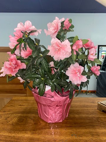 Pink Floral Arrangement