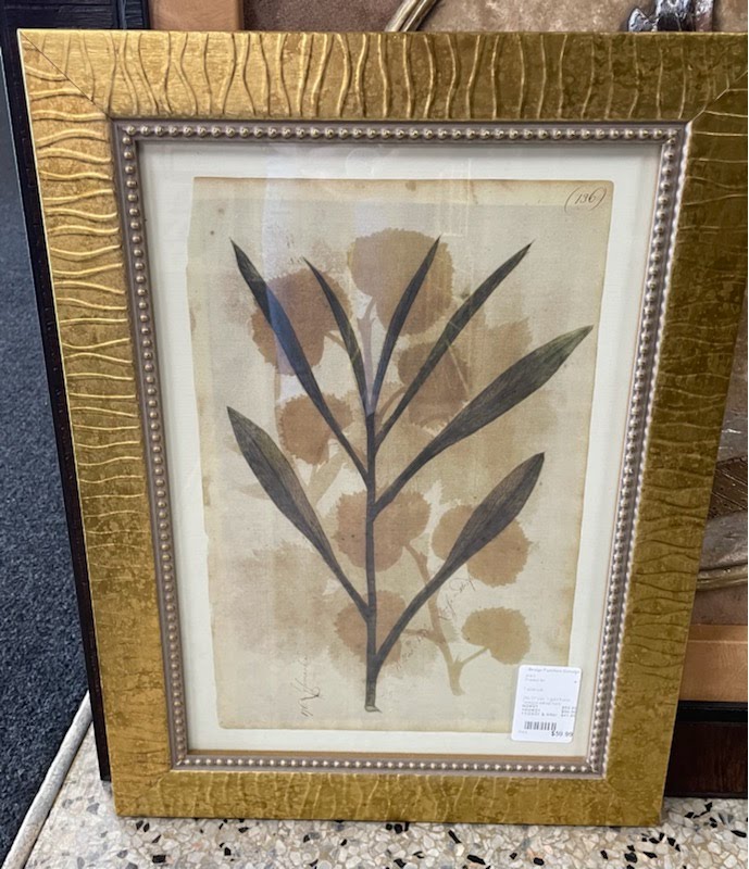 20"x15" Botantical Framed Art