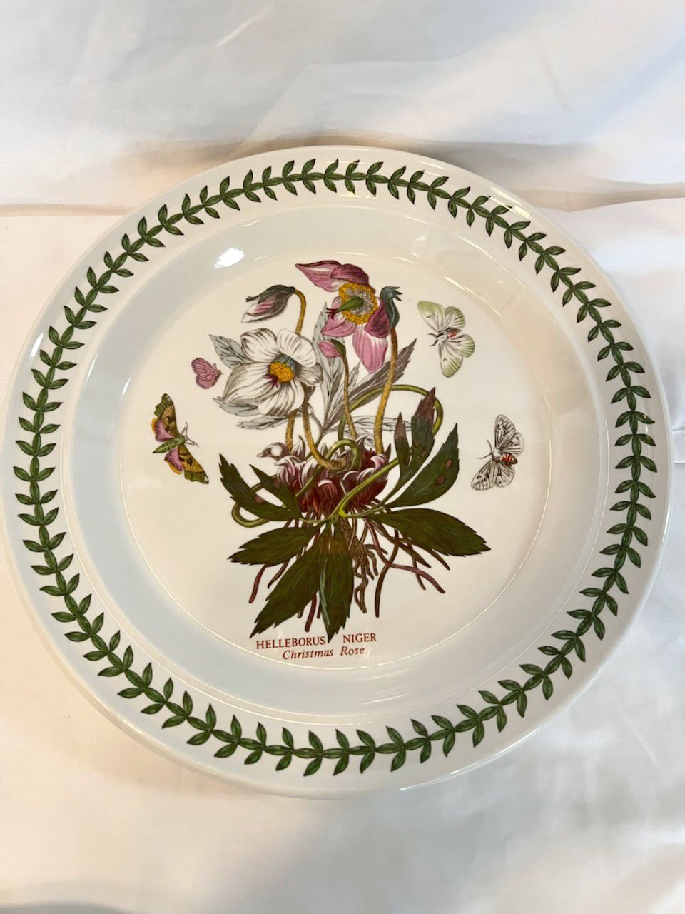 Botanic Garden Dinner Plate Christmas Rose