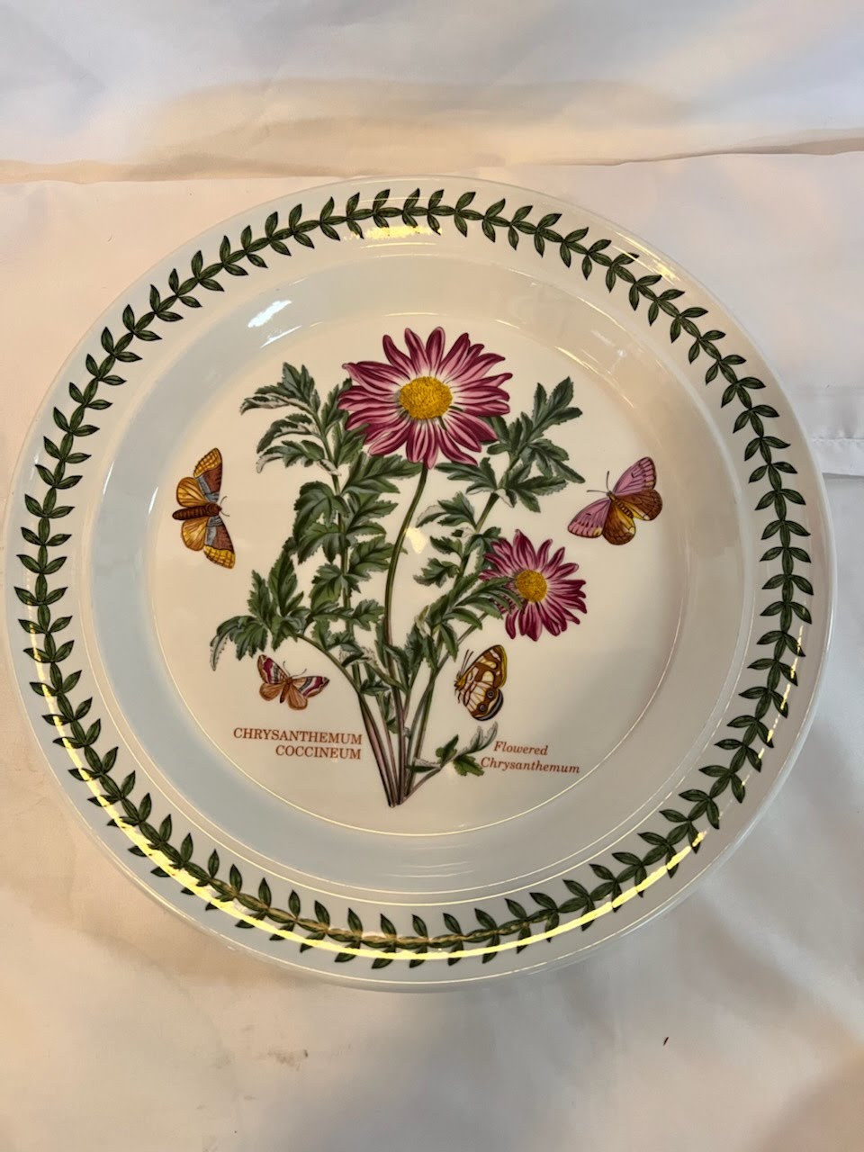 Botanic Garden 10.5" Dinner Plate