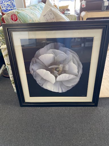 Wall Art- Flower w/ White Matting