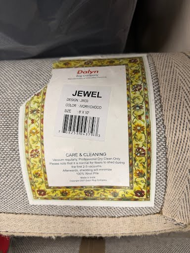 Ivory/ choco Area Rug