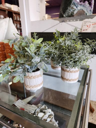 Foliage In White Pottery