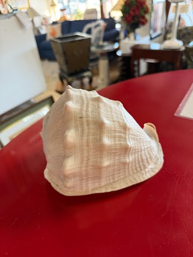 Shell Home Item
