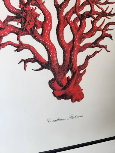 21x25" Wall Art
