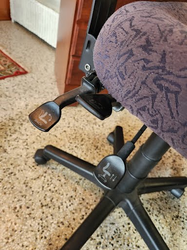 Adjustable Desk Chair