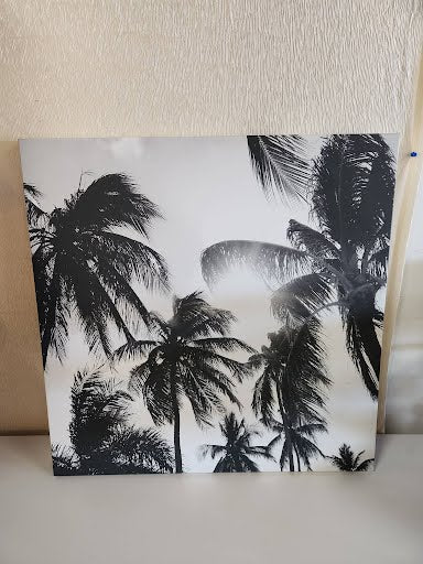 Black and White Palm Tree Wall Art