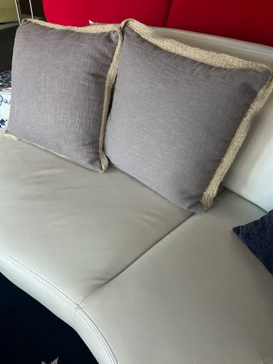 Set of 2  20x20 Pillow