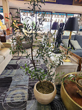 65"H Olive Tree Floral Arrangement