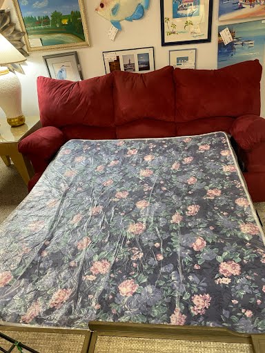 Red Queen Hudson Sleeper