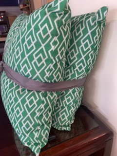 2 pack - Indoor Outdoor Tribal Green Throw Pillow