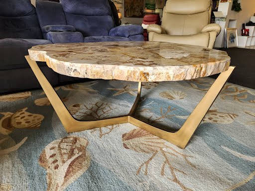 Petrified Wood Coffee Table