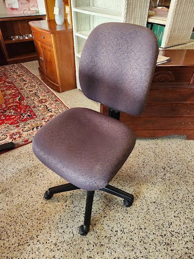 Adjustable Desk Chair