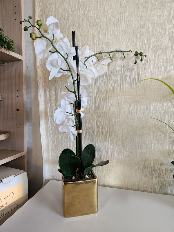 White Floral Arrangement