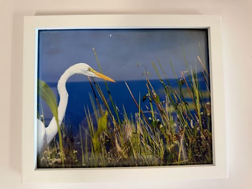 11x9" Bird in Grass Photograph - White Frame