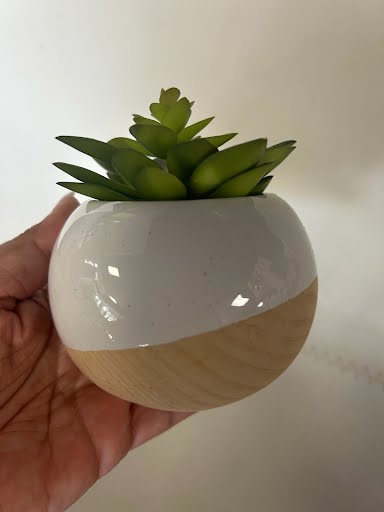 Faux Succulent