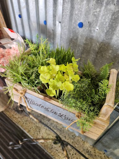 Faux herb box wood  "Rooted In Love" 12x6x6
