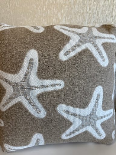 SET OF 2 | 20x20" Wes Sand  Pillow