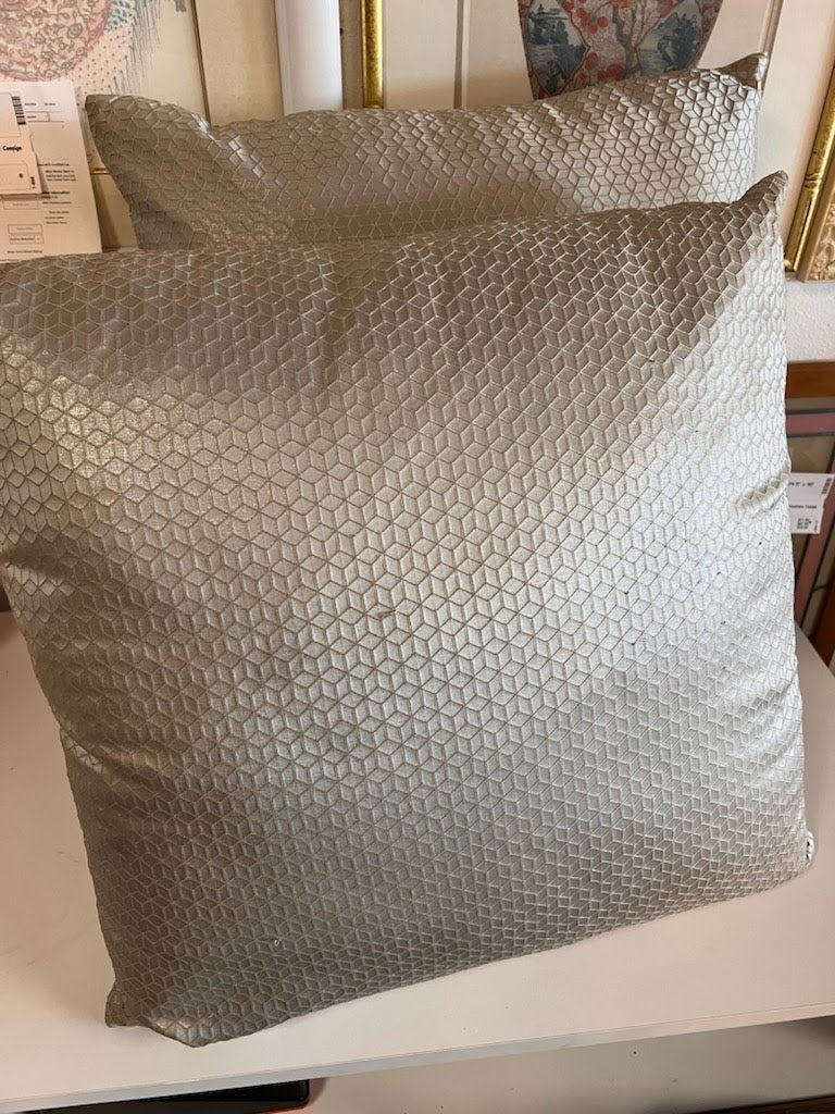 SET OF 2- Pillow  22" x 22"