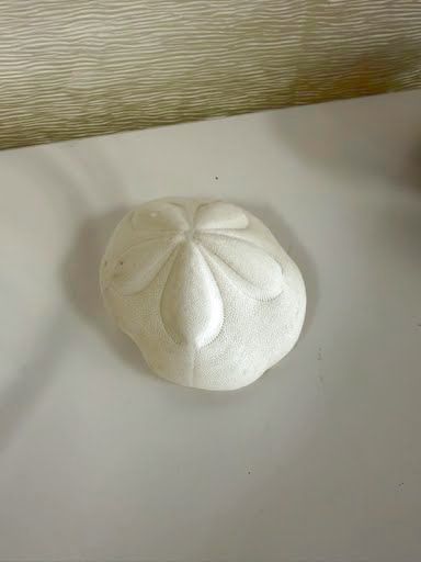 White Shell Home Item