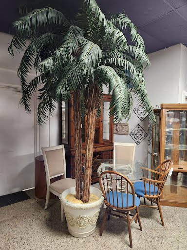 10' Tall Silk Plant