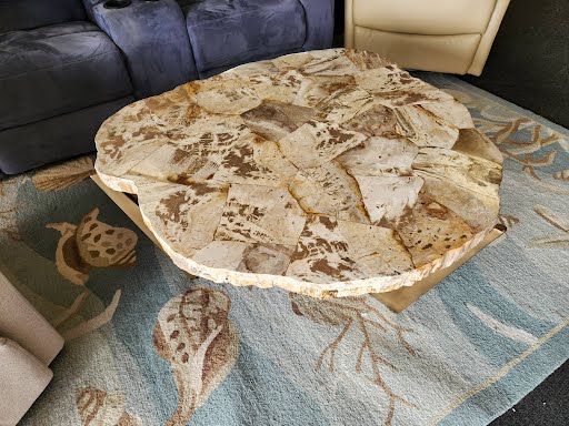 Petrified Wood Coffee Table