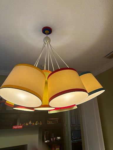 Pottery Barn Kids Ceiling Light