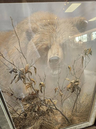 28x38 "Grizzly Impact" Framed print by Seerey-LesterWall Art