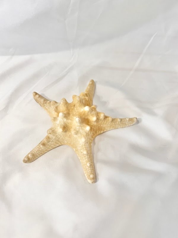 Starfish Decor