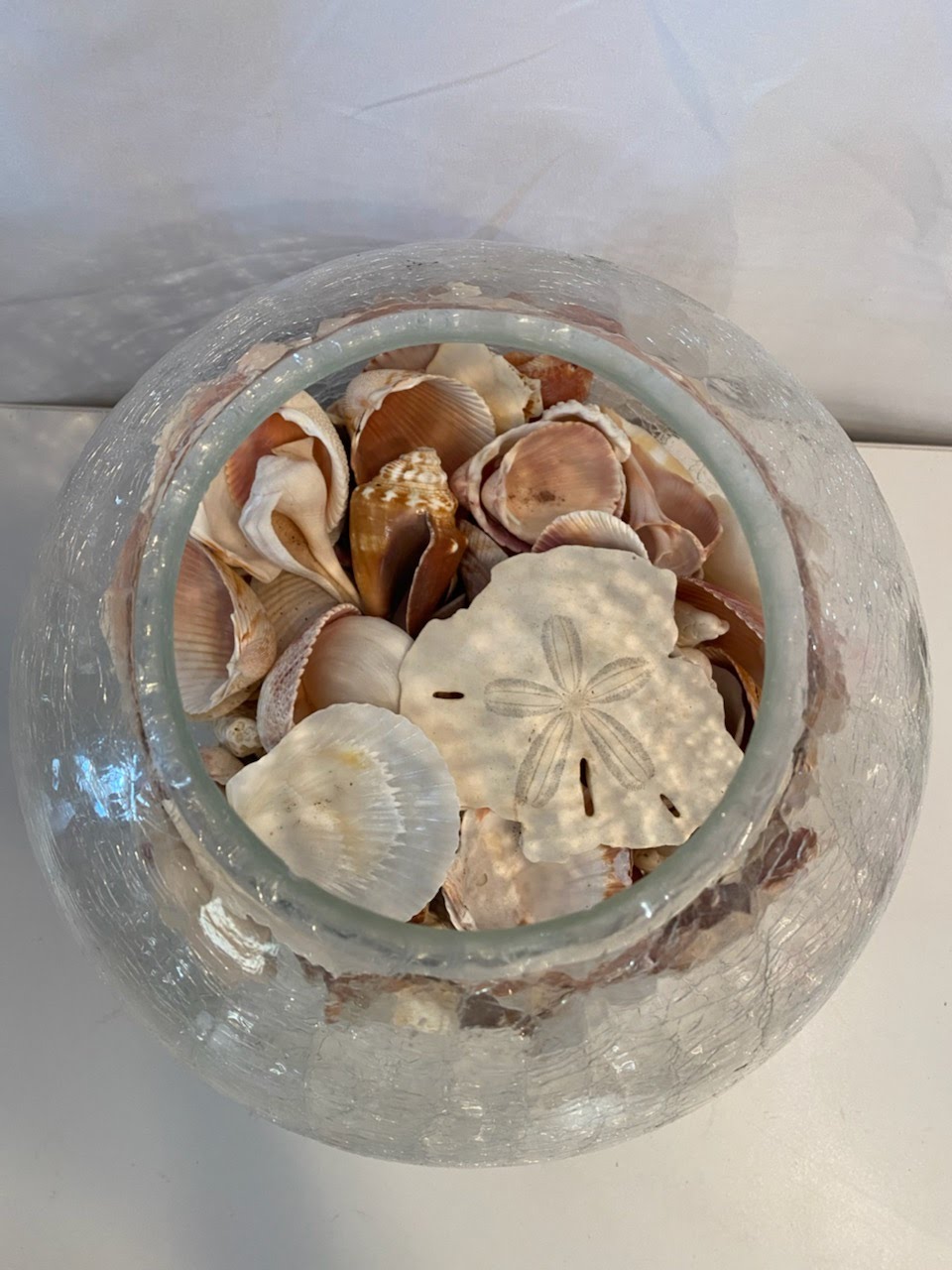 Crackle glass bubble vase with seashells