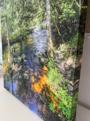 River and trees on canvas