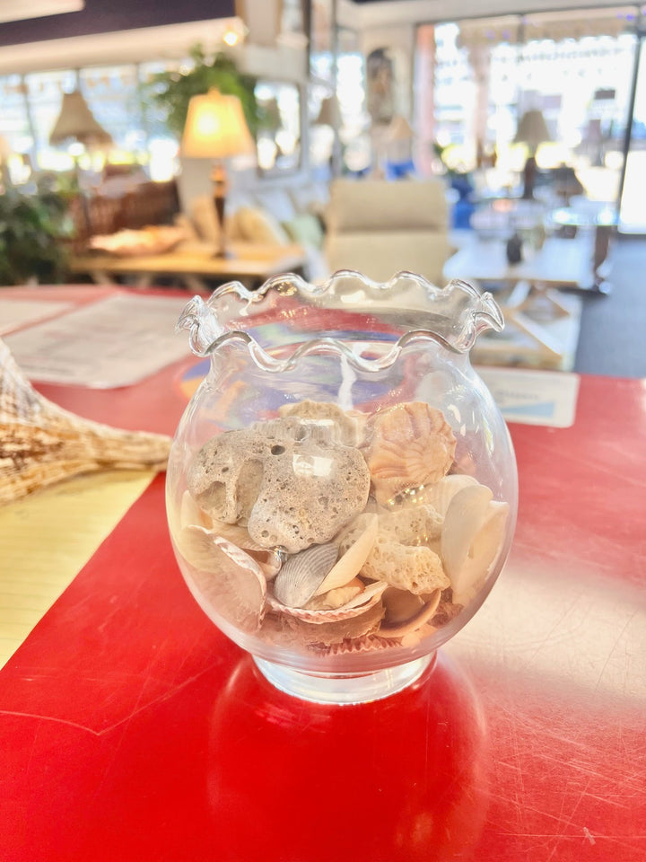 Clear Vase w/ Sea Shells