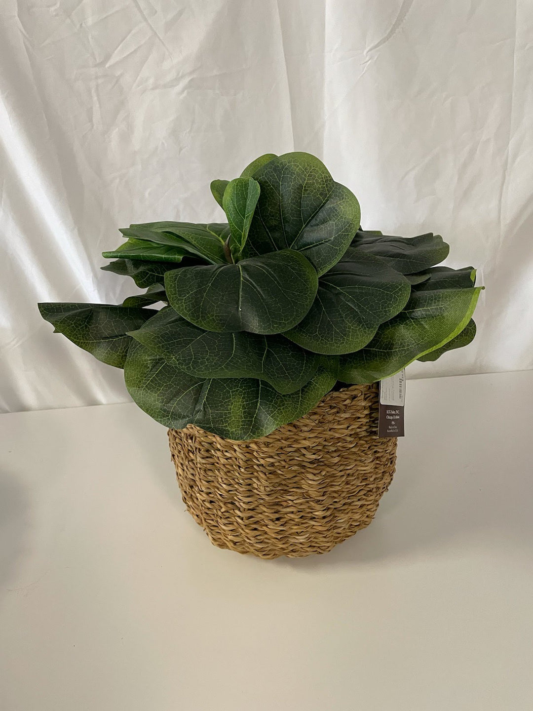 Rope Basket with Greenery